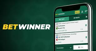BetWinner Mobile App Your Ultimate Betting Experience on the Go